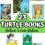 turtle books for preschoolers