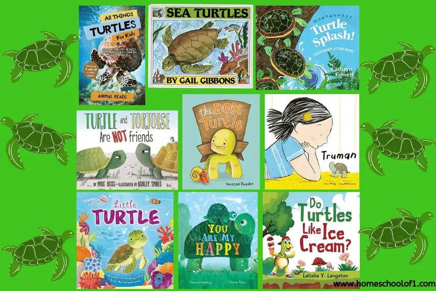 turtle books preschool