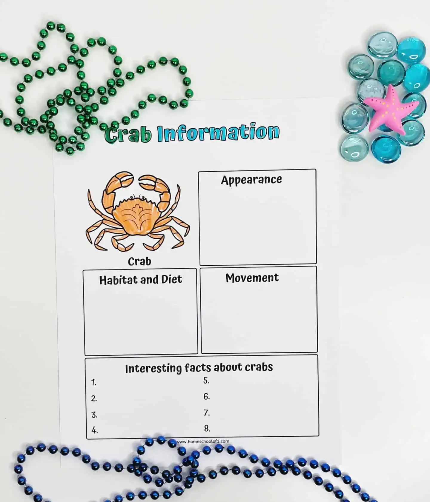 Crab information worksheet