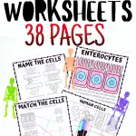 HUMAN CELL WORKSHEETS