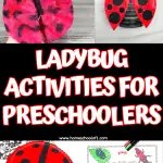 LADYBUG ACTIVITIES FOR PRESCHOOLERS