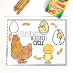 chicken life cycle coloring page