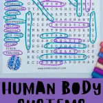 human body systems word search