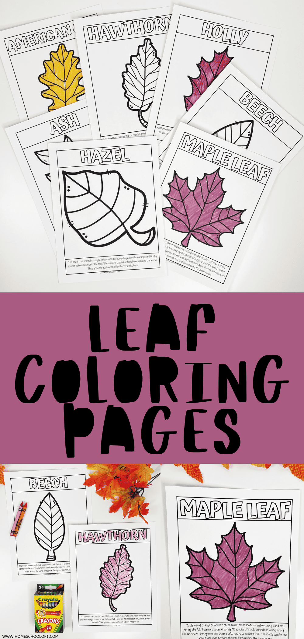 7 Printable Leaves Coloring Pages