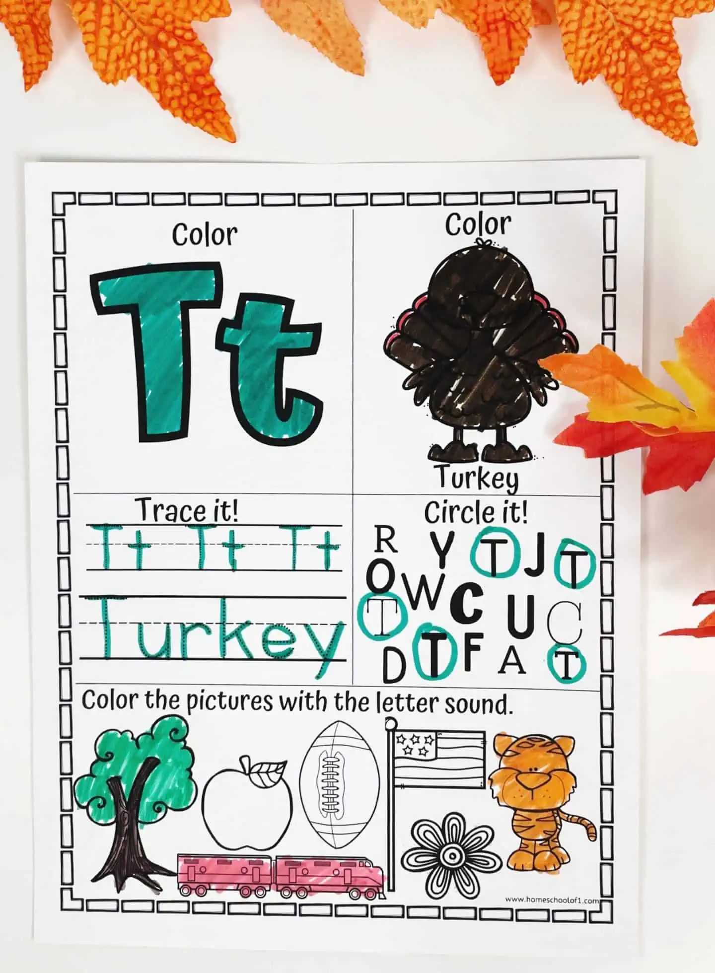 letter t thanksgiving worksheet