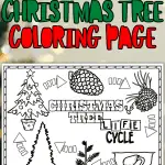 life cycle of a christmas tree coloring page