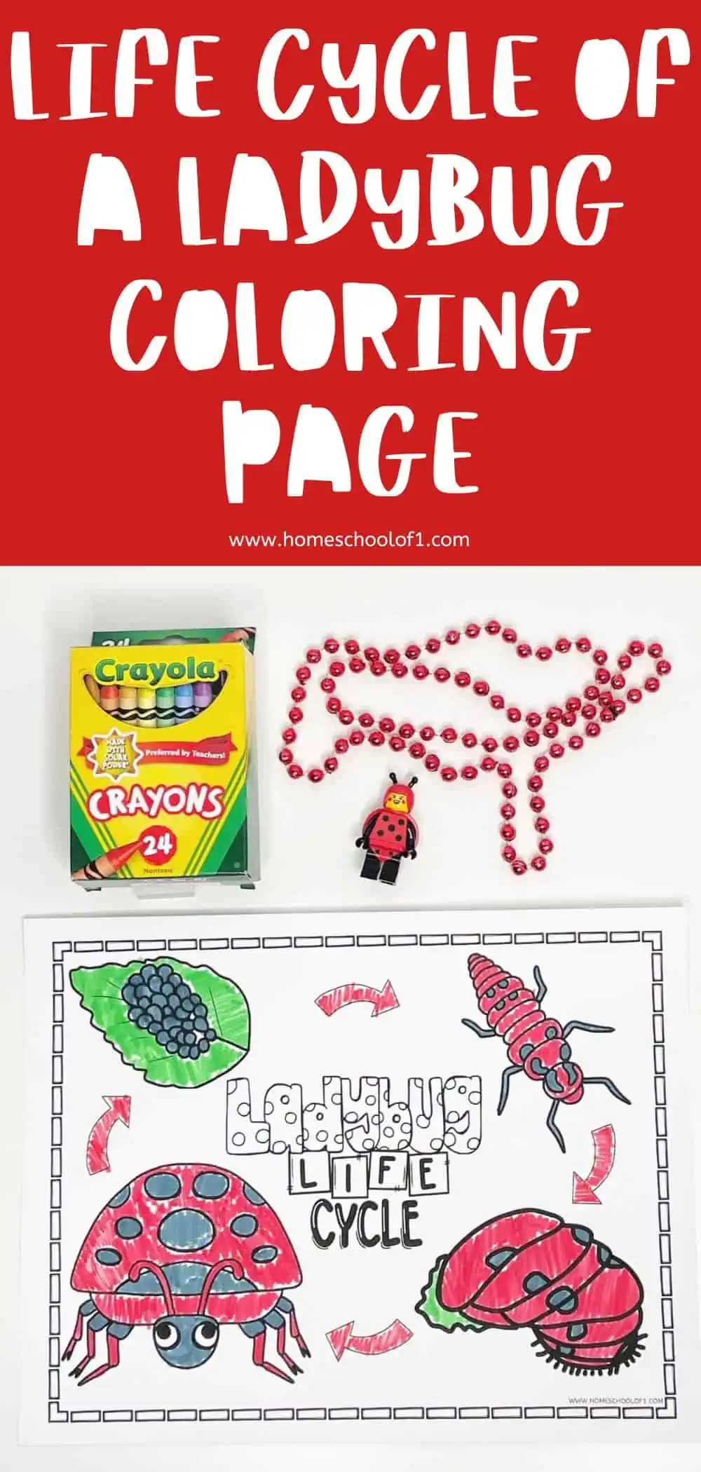 completed life cycle of a ladybug coloring page on a red background, showing a box of crayola crayons red beads and a ladybug lego minifigure