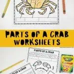 parts of a crab worksheets