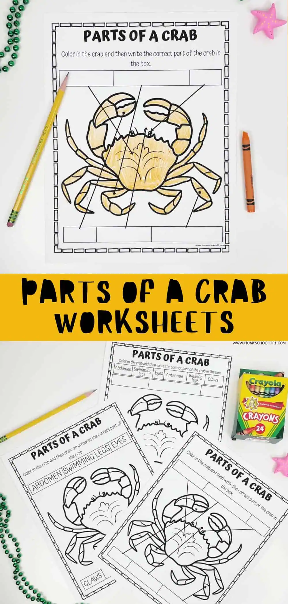 parts of a crab worksheets