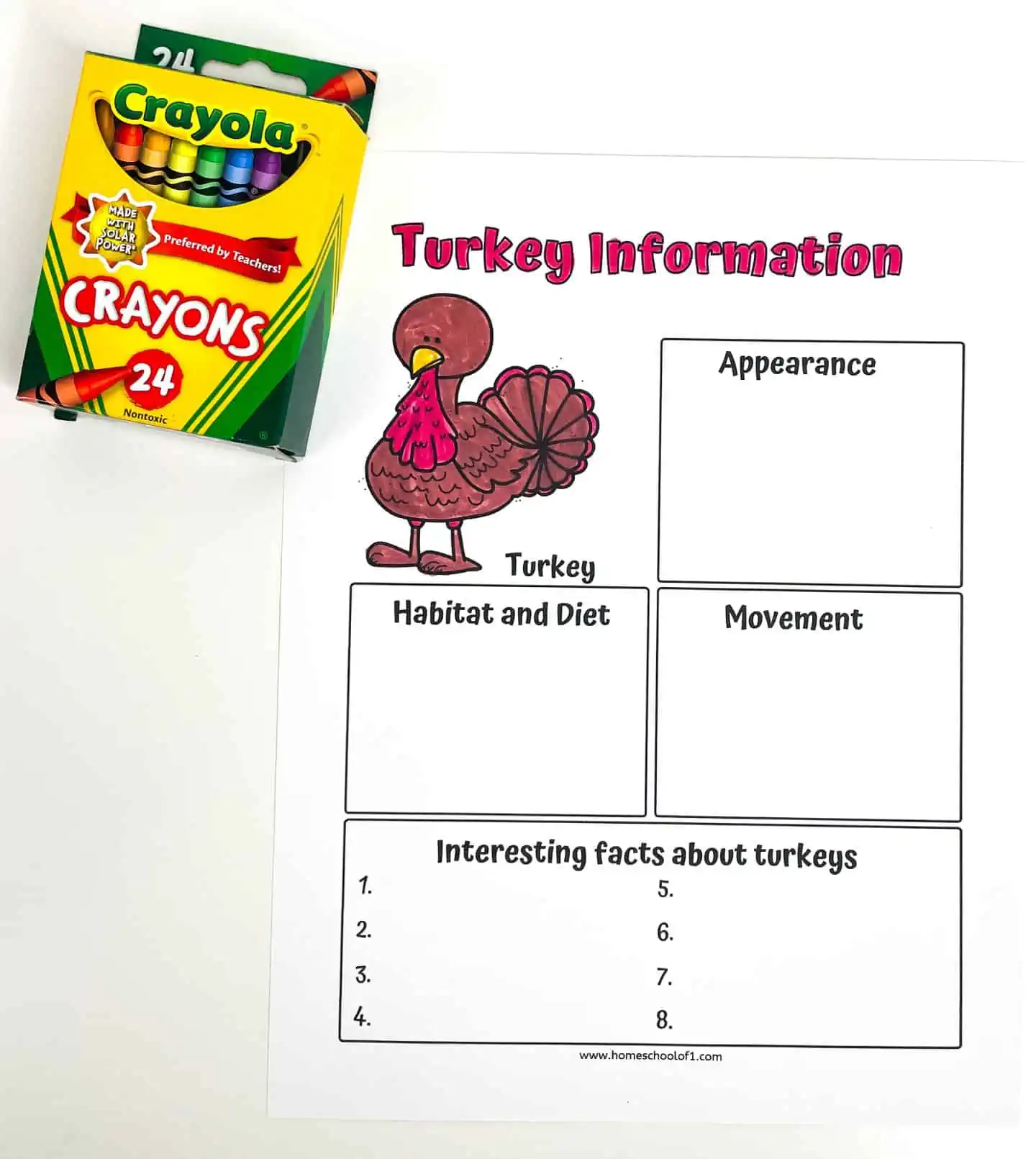 turkey information