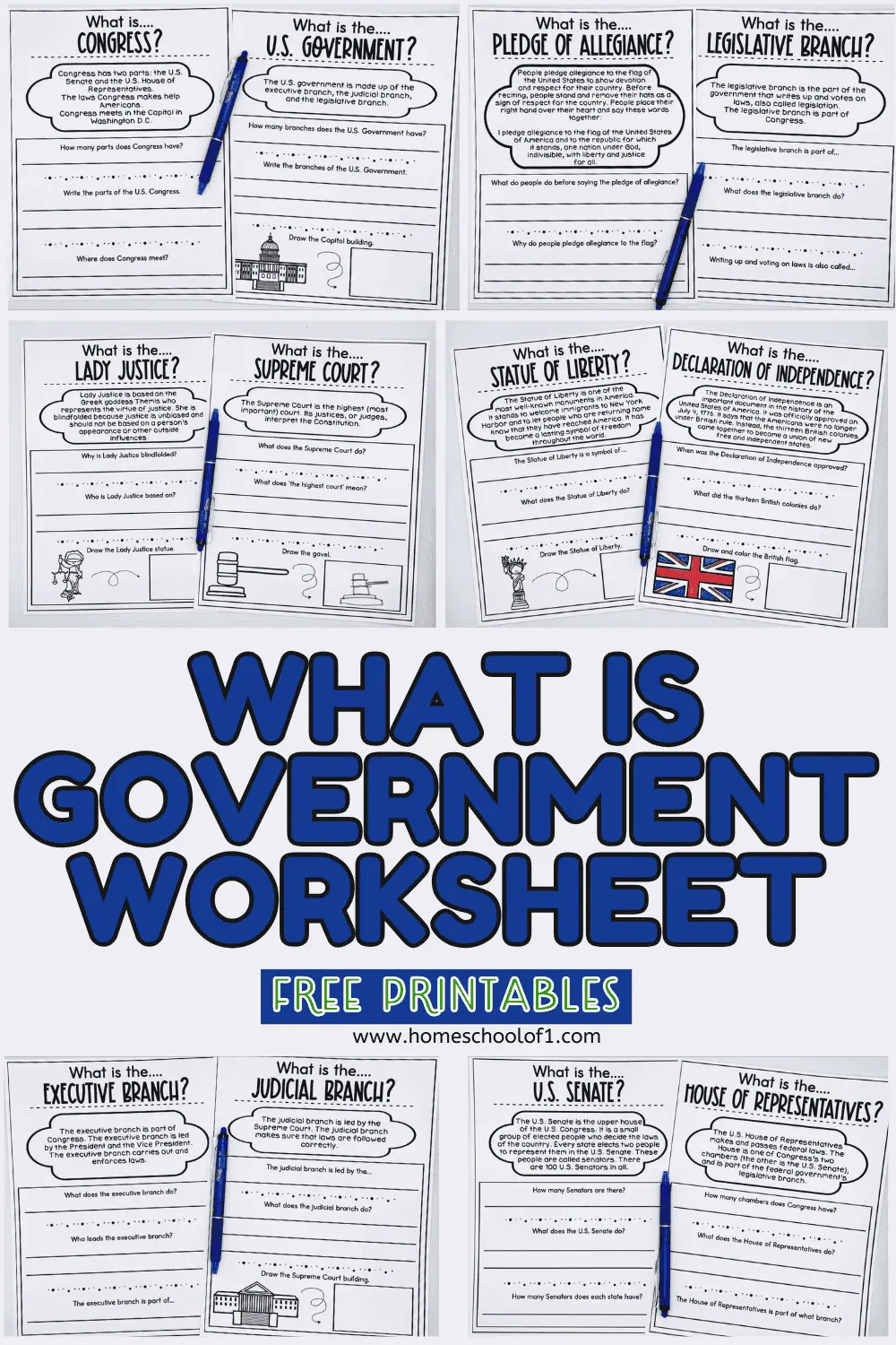 what is government worksheet