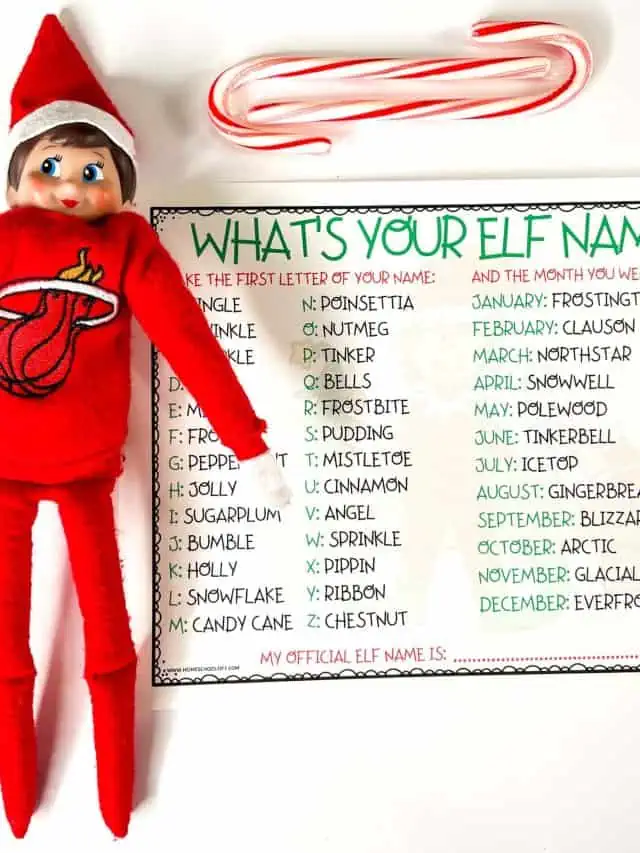 ELF ON THE SHELF NAME GENERATOR