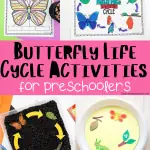 Butterfly Life Cycle Activities for Preschoolers