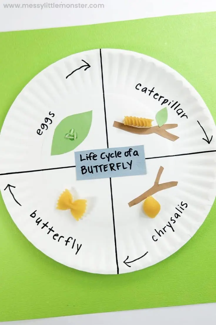 25 Butterfly Life Cycle Activities for Preschoolers