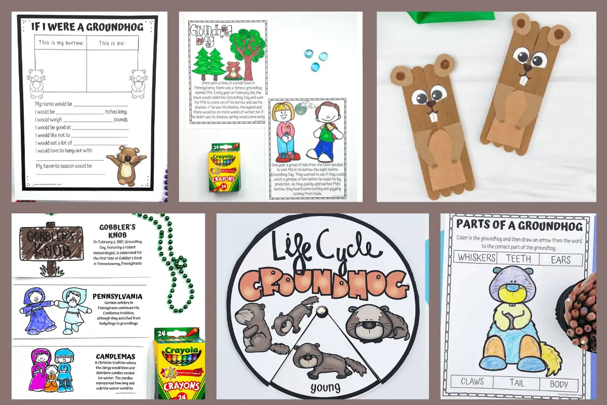 Collage of free Groundhog Day printable activities with colorful hand-drawn images and texts, including a 'Life Cycle of a Groundhog' diagram and a 'Parts of a Groundhog' coloring worksheet, useful for kindergarten learning materials