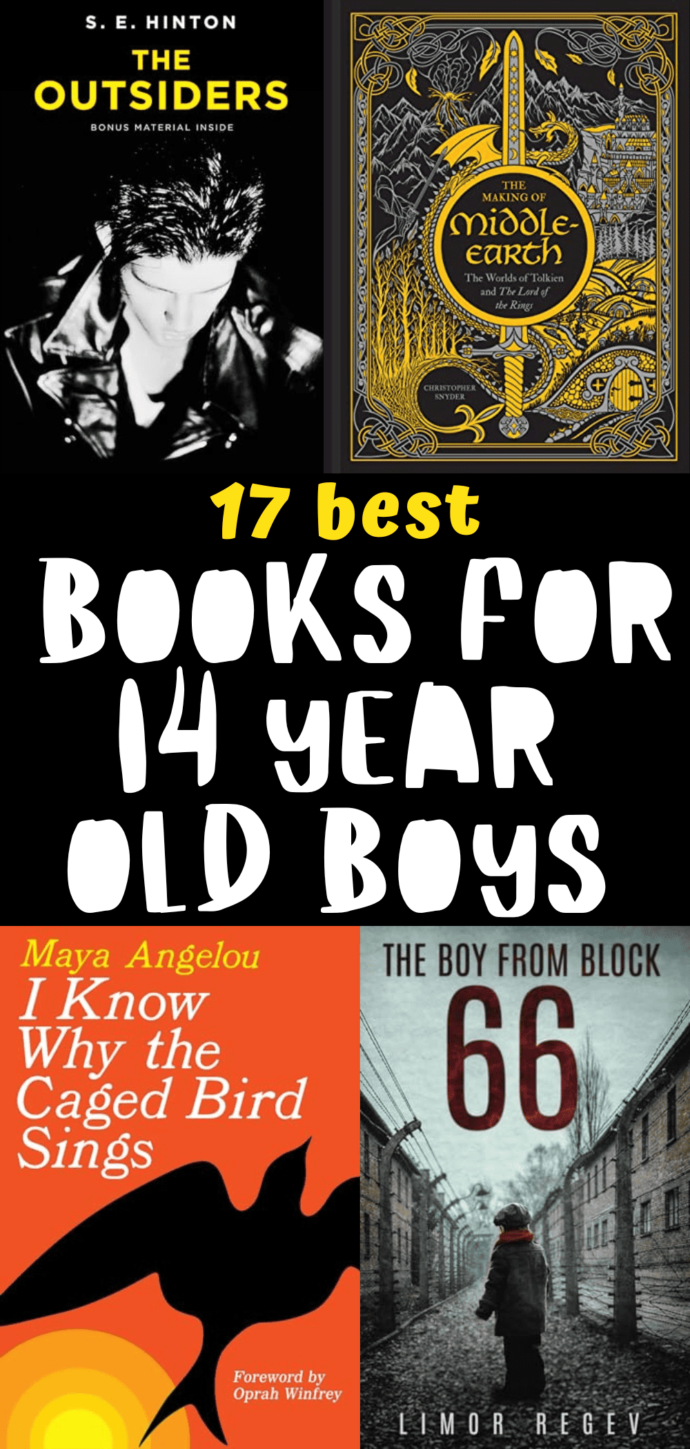 17-best-books-for-14-year-old-boys-to-read-in-2024