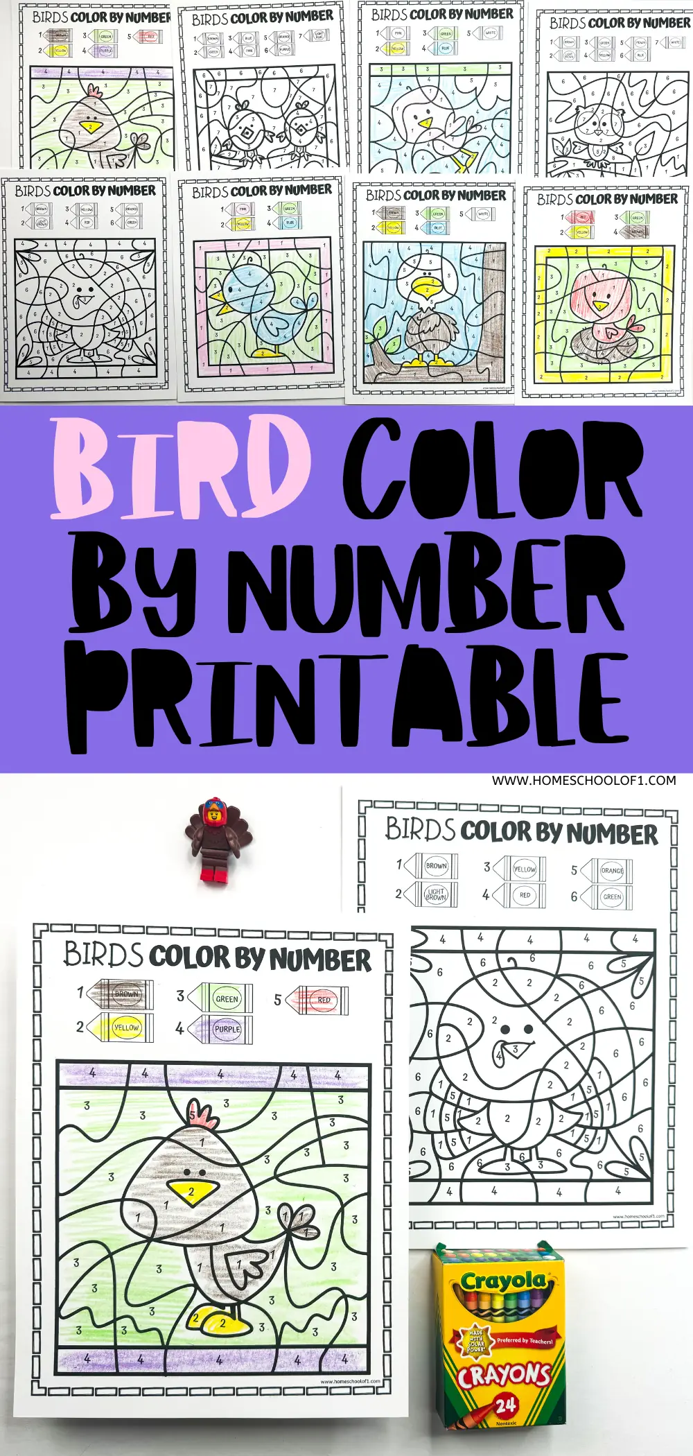 bird color by number printable