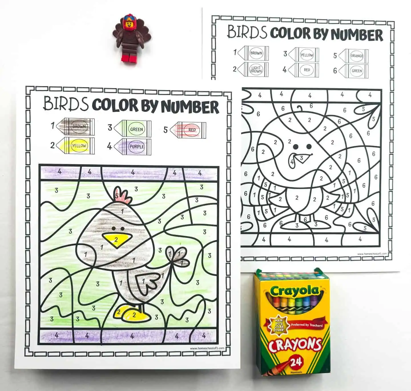 bird color by number worksheets