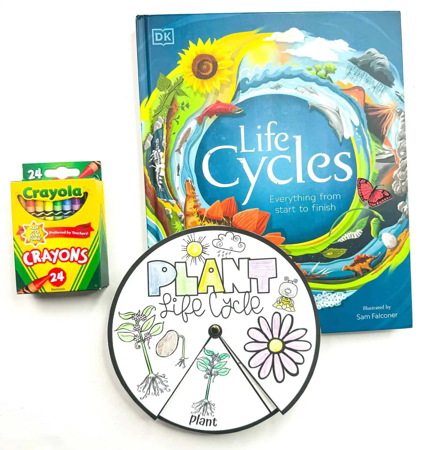 plant life cycle spinner wheel