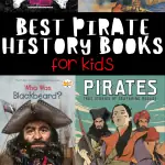 best non fiction pirate books