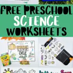 free preschool science worksheets