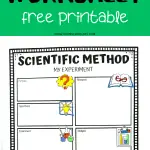 scientific method worksheet for kids