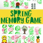 spring memory game