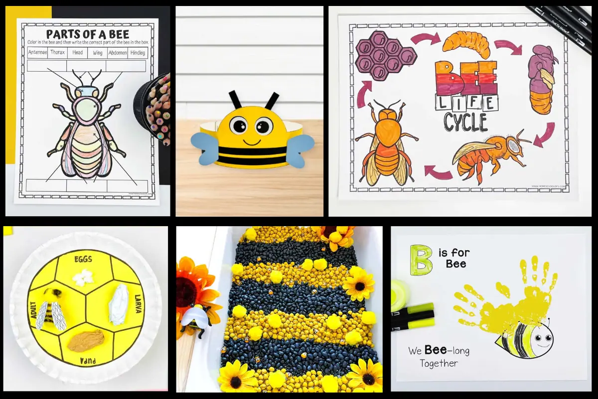 Assortment of six bee-themed learning resources and crafts for children, including a 'Parts of a Bee' coloring worksheet, a bee lifecycle diagram, a paper plate bee lifecycle craft, a cheerful bee craft, sensory bin, and a handprint art, all aimed at combining education with creative fun.