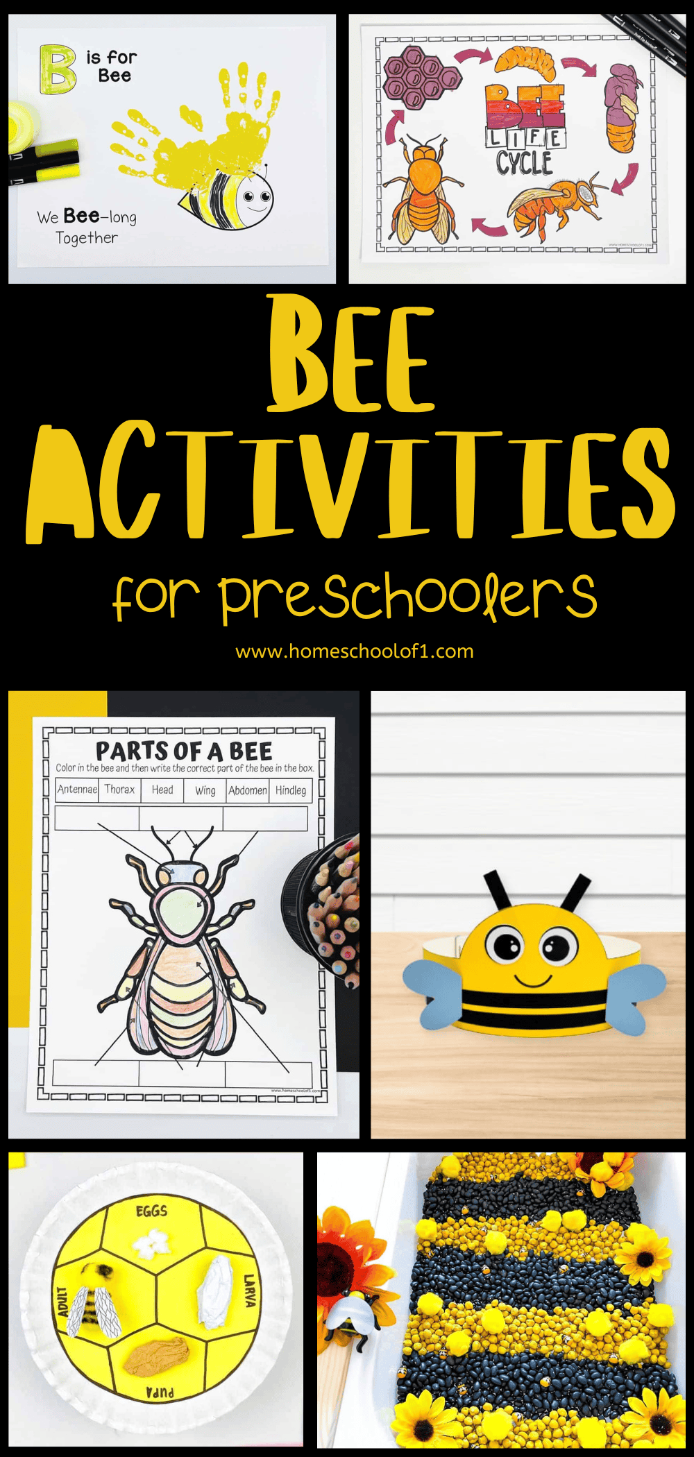 "A curated selection of bee-themed activities designed for preschoolers showcased in a Pinterest-style image collage, highlighting hands-on learning worksheets, a lifecycle craft, and vibrant sensory play setups, all geared towards introducing young kids to the world of bees through interactive play.