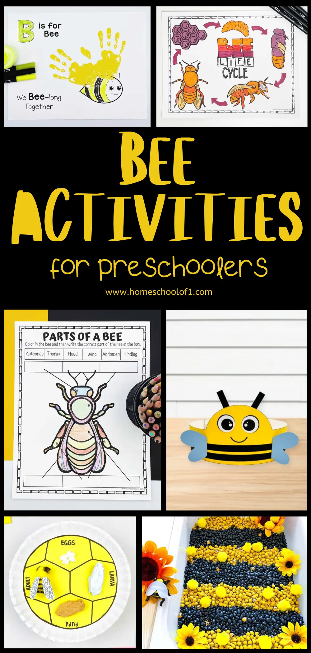 Collage of preschool bee activities, including printable worksheets, a bee life cycle craft, sensory play ideas, and hands-on learning projects.