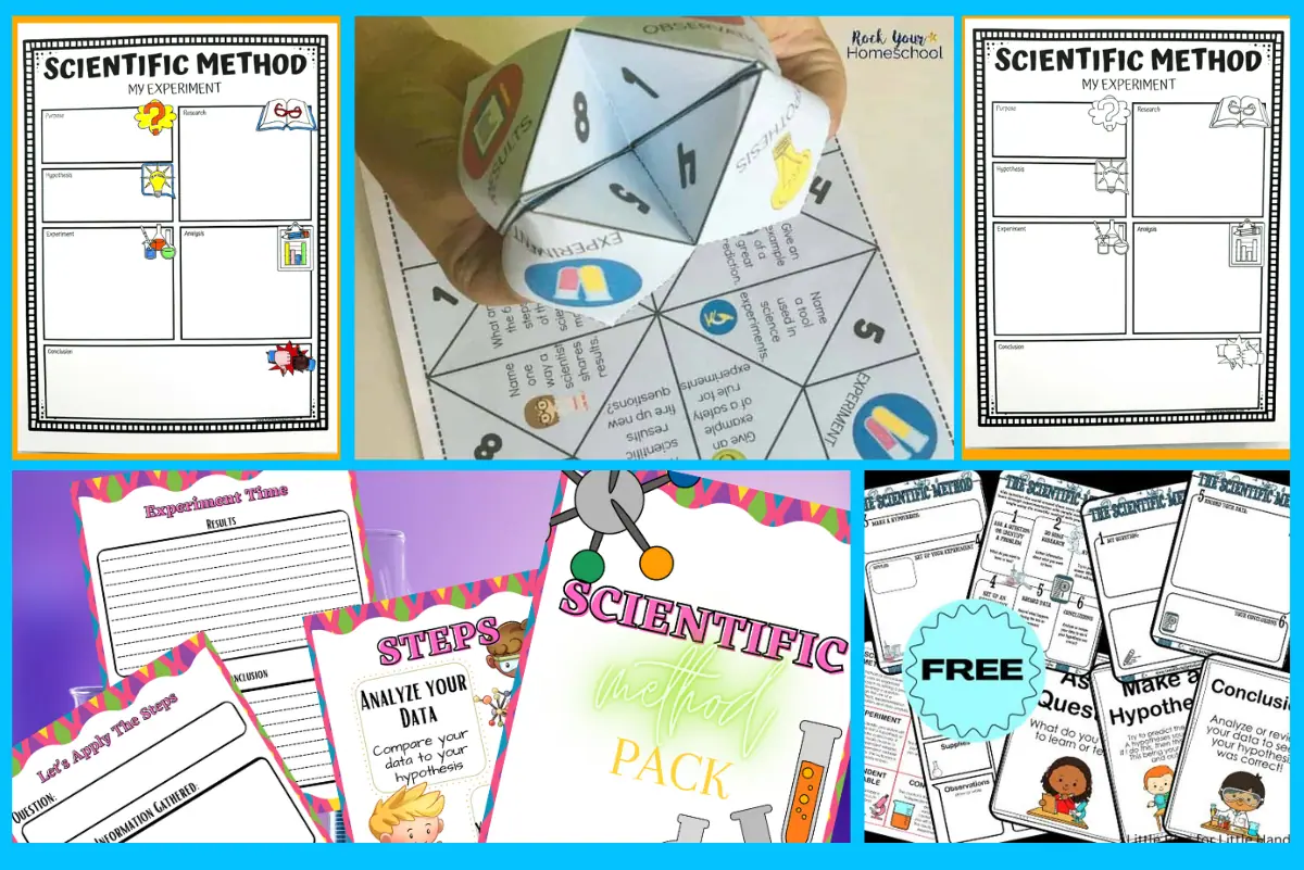 A fun collection of educational worksheets and activities highlighting the scientific method, featuring a variety of formats such as experiment templates, results charts, and an interactive fortune teller craft