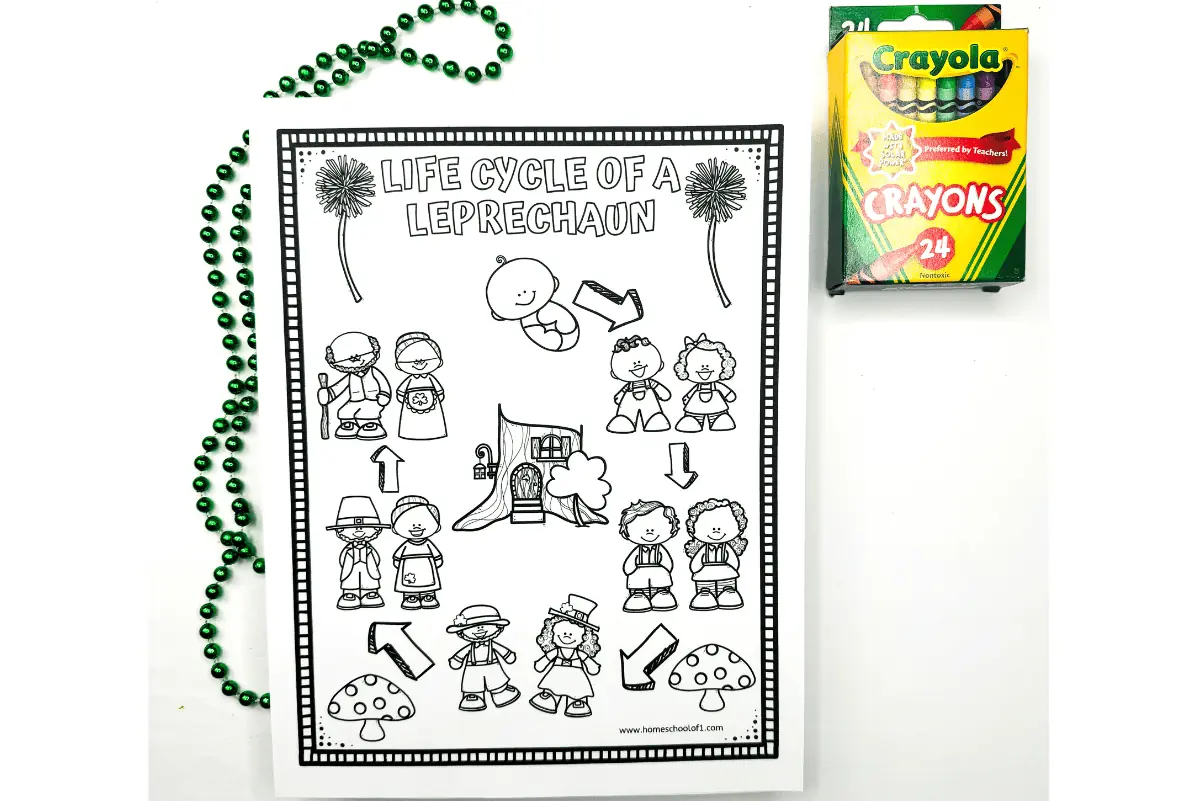 leprechaun life cycle coloring page