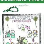 life cycle of a leprechaun coloring page