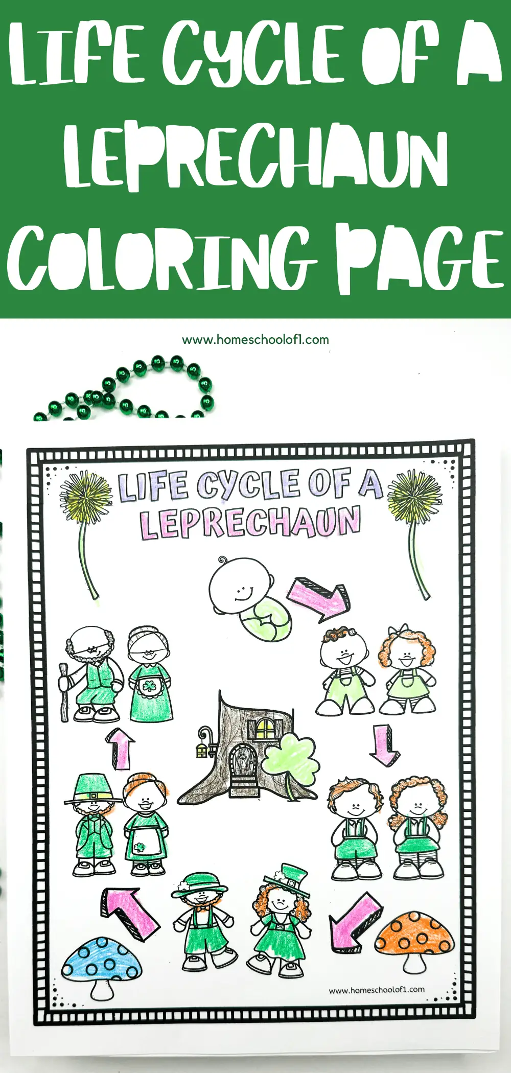 life cycle of a leprechaun coloring page