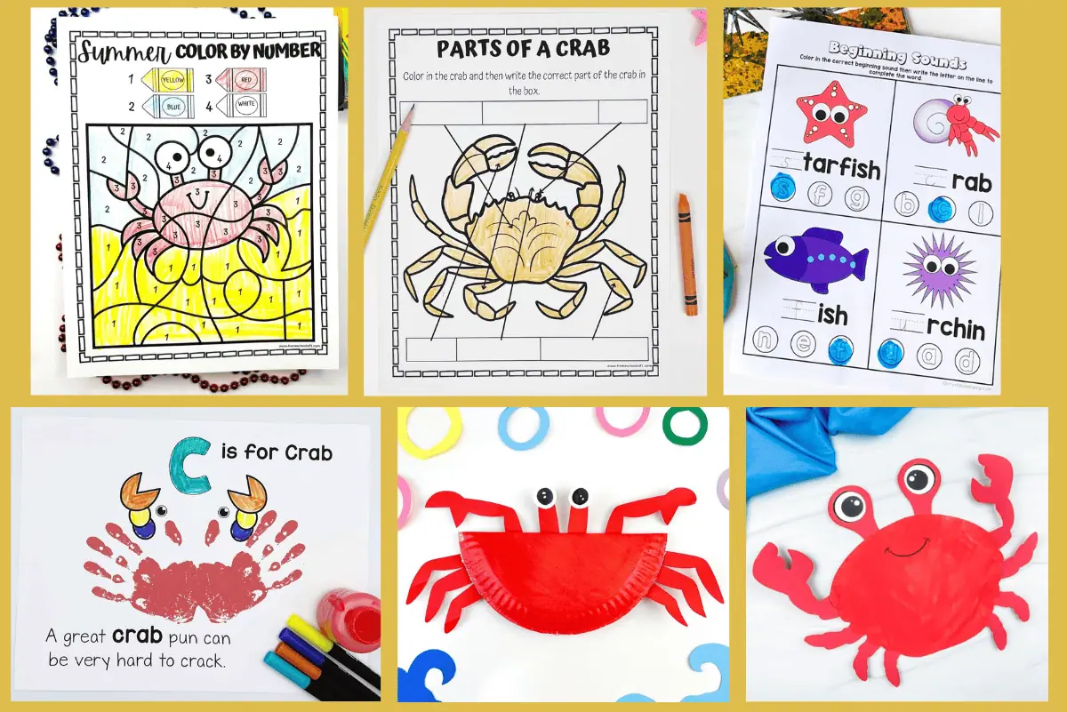 A collage of crab-themed educational activities and crafts suitable for preschoolers. Top row from left to right: A 'Summer Color by Number' worksheet with a crab design; a 'Parts of a Crab' labeling worksheet; and a 'Beginning Sounds' phonics worksheet featuring marine animals. Bottom row: A handprint craft labeled 'C is for Crab' with the phrase 'A great crab pun can be very hard to crack'; and a paper plate crab craft with googly eyes and red paper legs and claws.