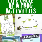 "A vibrant collage featuring a variety of frog life cycle educational materials, including a life cycle wheel craft, colored and labeled diagrams, worksheets, a color by number activity, and a paper plate craft depicting the stages from eggs to adult frog.