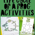 This is a promotional image for educational activities about the life cycle of a frog. It features the same elements as the first image, arranged with the text "LIFE CYCLE OF A FROG ACTIVITIES" prominently displayed in the center.