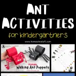 roundup image highlighting various ant activities suitable for kindergartners, featuring educational worksheets, a life cycle diagram, and craft instructions for creating walking ant puppets, designed to engage young learners with ant biology and crafts.