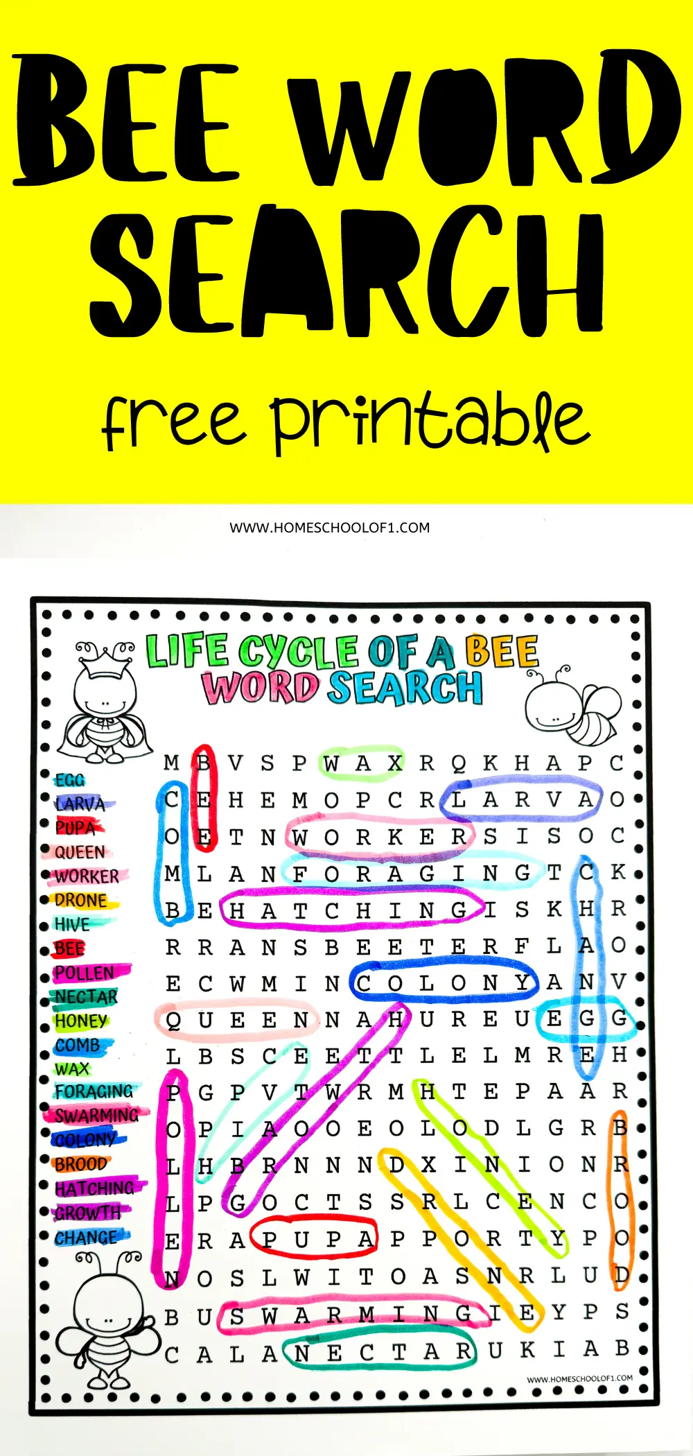 Educational Bee Word Search worksheet highlighting words in vibrant colors related to bee life stages such as 'Larva', 'Queen', and 'Honey', with a cartoon bee and title in bold yellow letters.