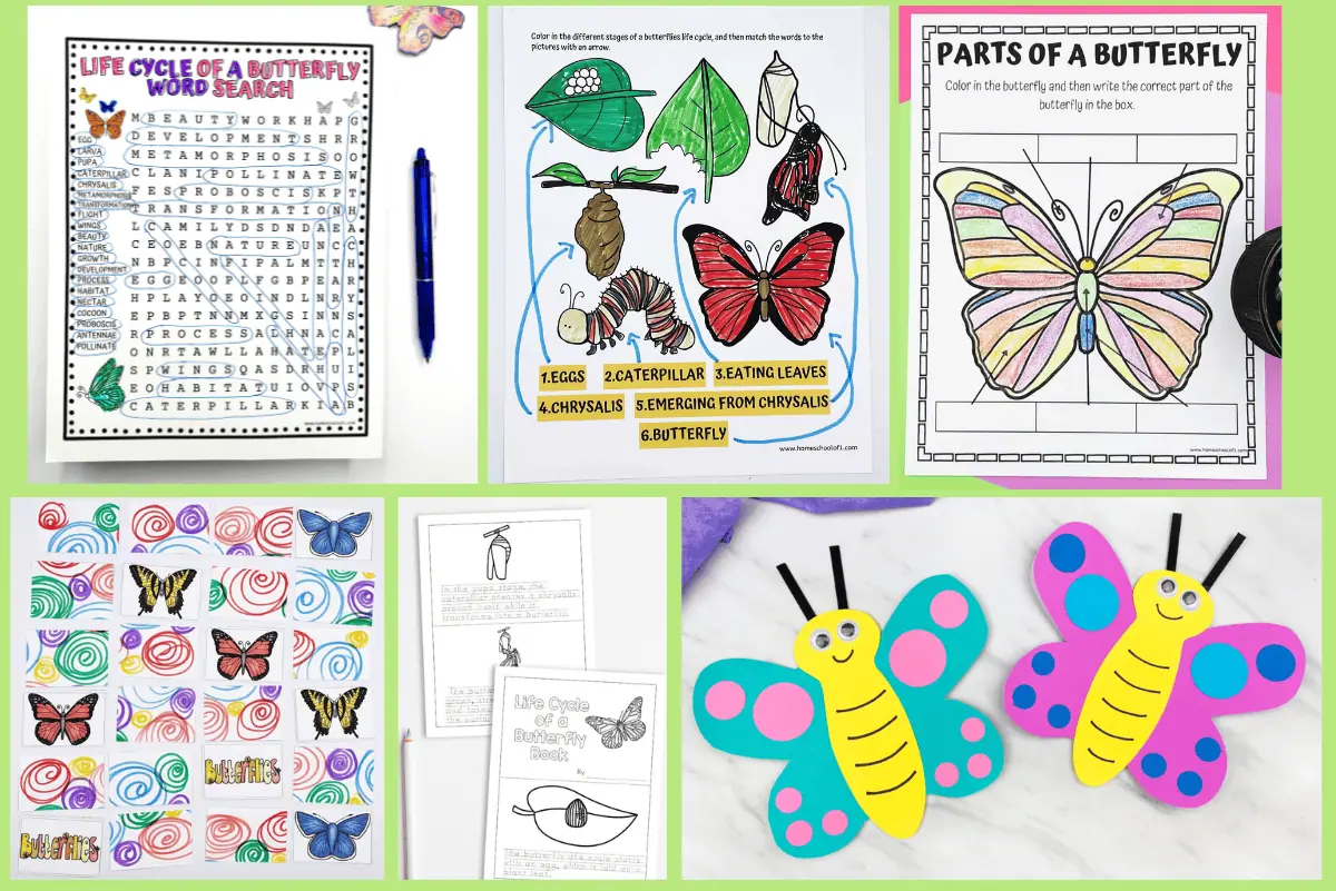 An educational collection of butterfly-themed activities aimed at elementary students, featuring engaging worksheets like a word search, life cycle matching, and coloring pages with labeled parts of a butterfly, alongside whimsical butterfly crafts, perfect for interactive science lessons.