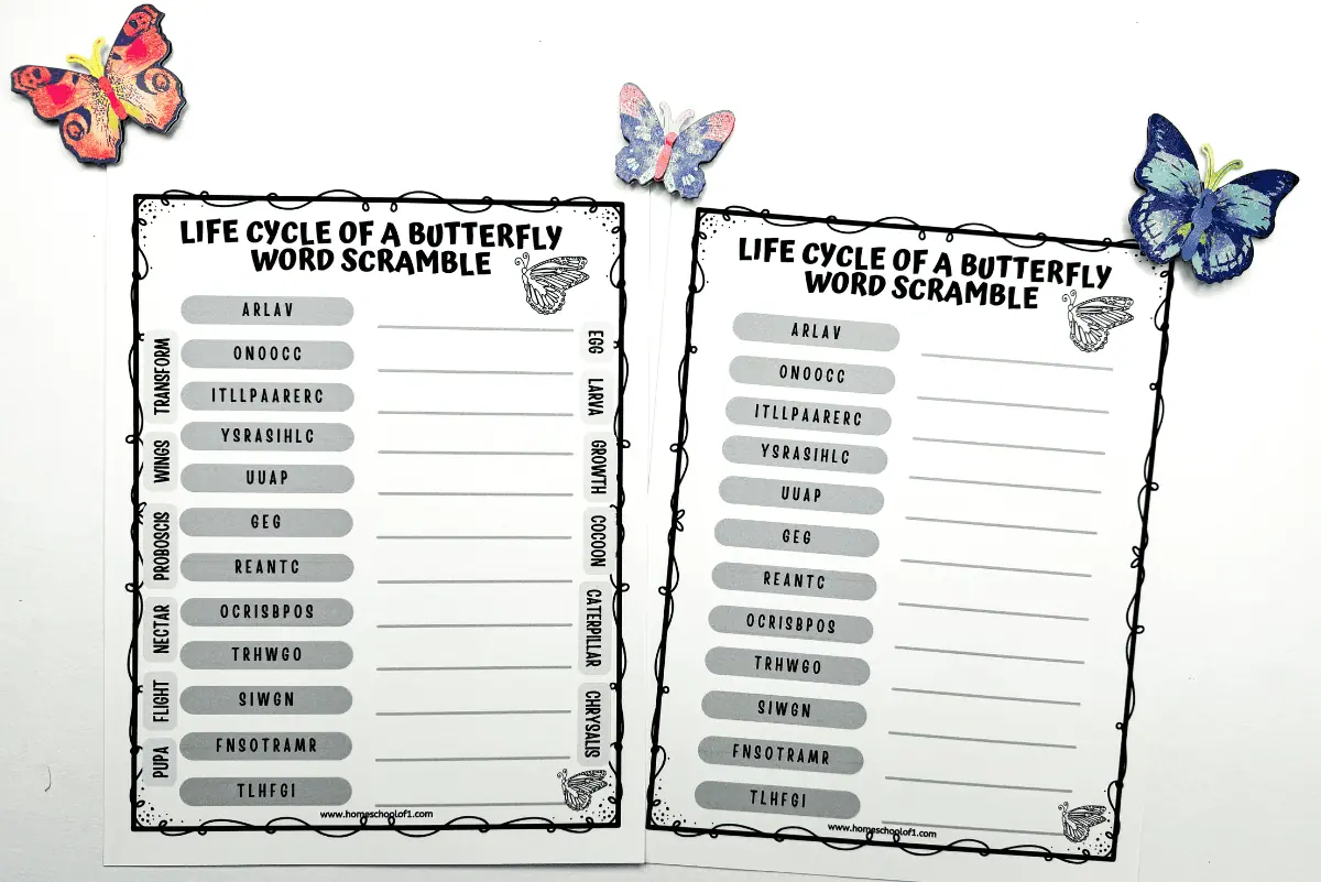 Printable 'Life Cycle of a Butterfly Word Scramble' worksheets flanked by decorative paper butterflies, with jumbled words pertaining to butterfly development stages and blank spaces for solutions.