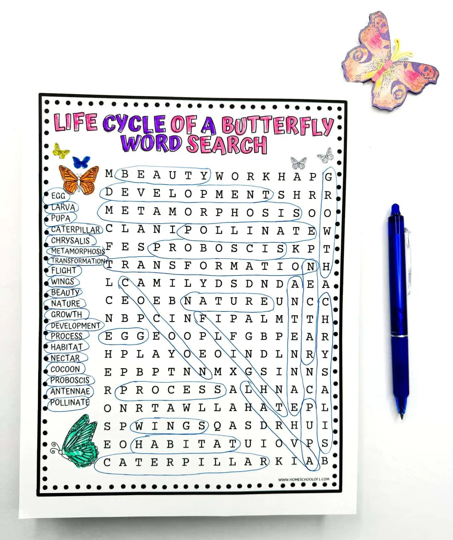 Educational activity sheet titled 'Life Cycle of a Butterfly Word Search' with a list of words to find related to butterfly development, alongside a blue pen and decorative paper butterflies.