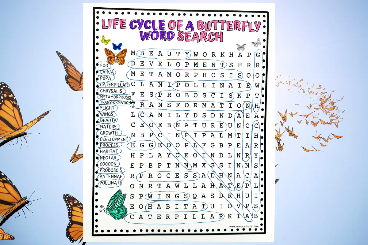 A 'Life Cycle of a Butterfly Word Search' against a sky background with butterflies, highlighting words like 'metamorphosis' and 'caterpillar' with circled letters and a vibrant butterfly illustration.