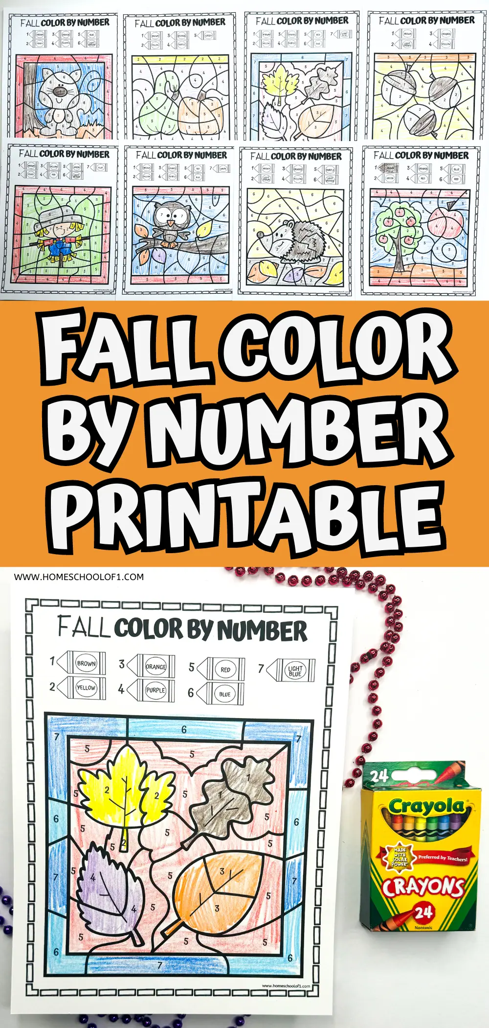 Printable 'Fall Color by Number' worksheet featuring colored sections of a squirrel, leaves, and pumpkins, with a 24-pack of Crayola crayons positioned to the side, ideal for educational craft activities for children.