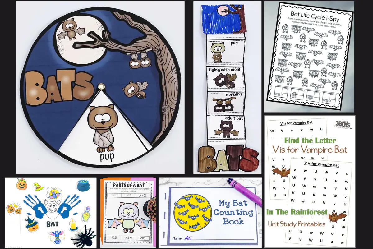 A collage of educational materials titled 'BATS', including a life cycle wheel chart, a printable of bat growth stages, and activity sheets such as 'Bat Life Cycle I-Spy', 'My Bat Counting Book', and 'Parts of a Bat' coloring page. All designed as free, printable worksheets for a fun and informative learning experience about bats.