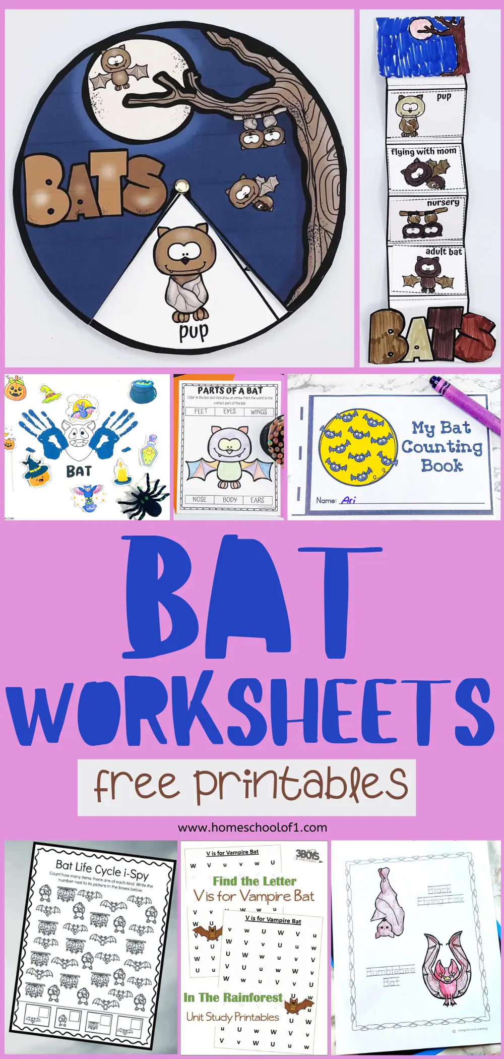 Promotional graphic for 'BAT WORKSHEETS', featuring a compilation of free printable bat-themed educational resources. This includes activities like 'Bat Life Cycle I-Spy', 'Find the Letter V is for Vampire Bat', and 'In The Rainforest' unit study printables