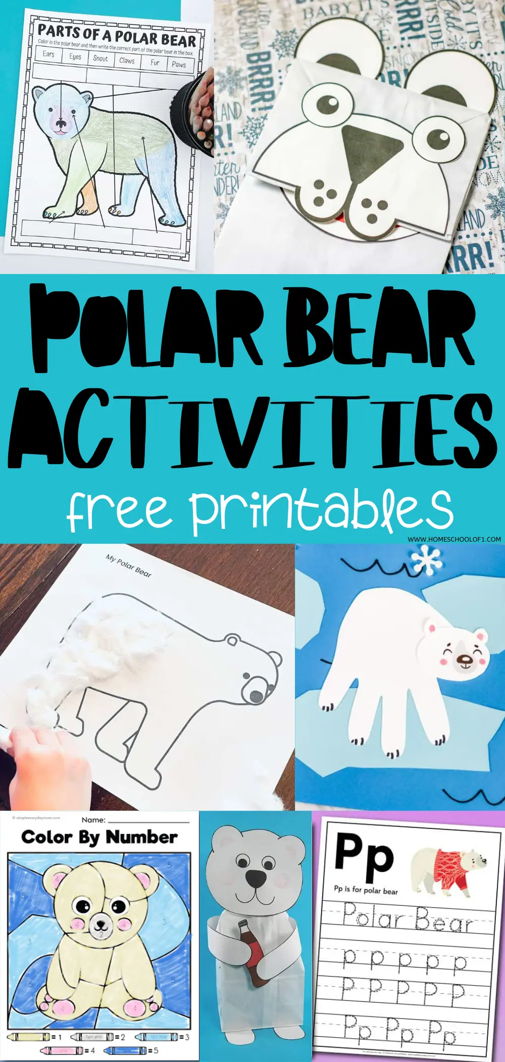 Collage of educational polar bear themed activities and printables for children, including a parts identification worksheet, a polar bear face craft, a cut-and-paste activity, a color by number page, and handwriting practice sheets, all designed to be free resources for homeschool or classroom settings