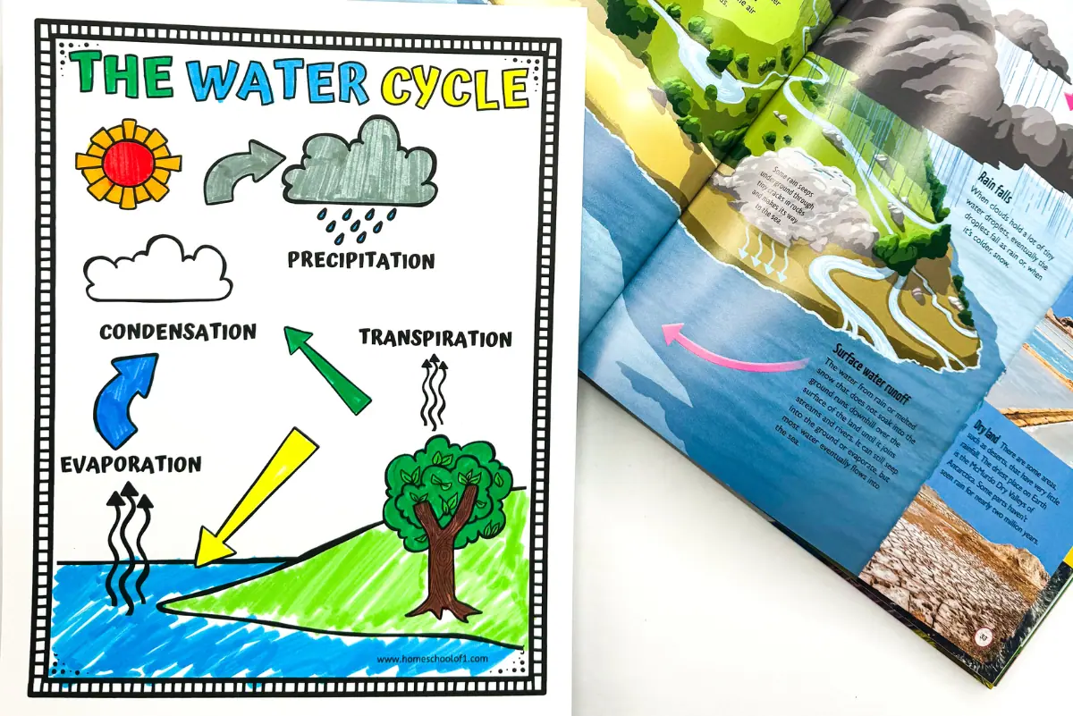 A brightly colored 'Water Cycle Coloring Page' laid on an open book about water bodies, enhancing learning about the water cycle stages through engaging coloring exercises for young students.