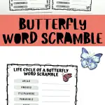 A worksheet titled 'Life Cycle of a Butterfly Word Scramble' with scrambled words to unscramble and blank lines for answers. Decorated with butterfly illustrations