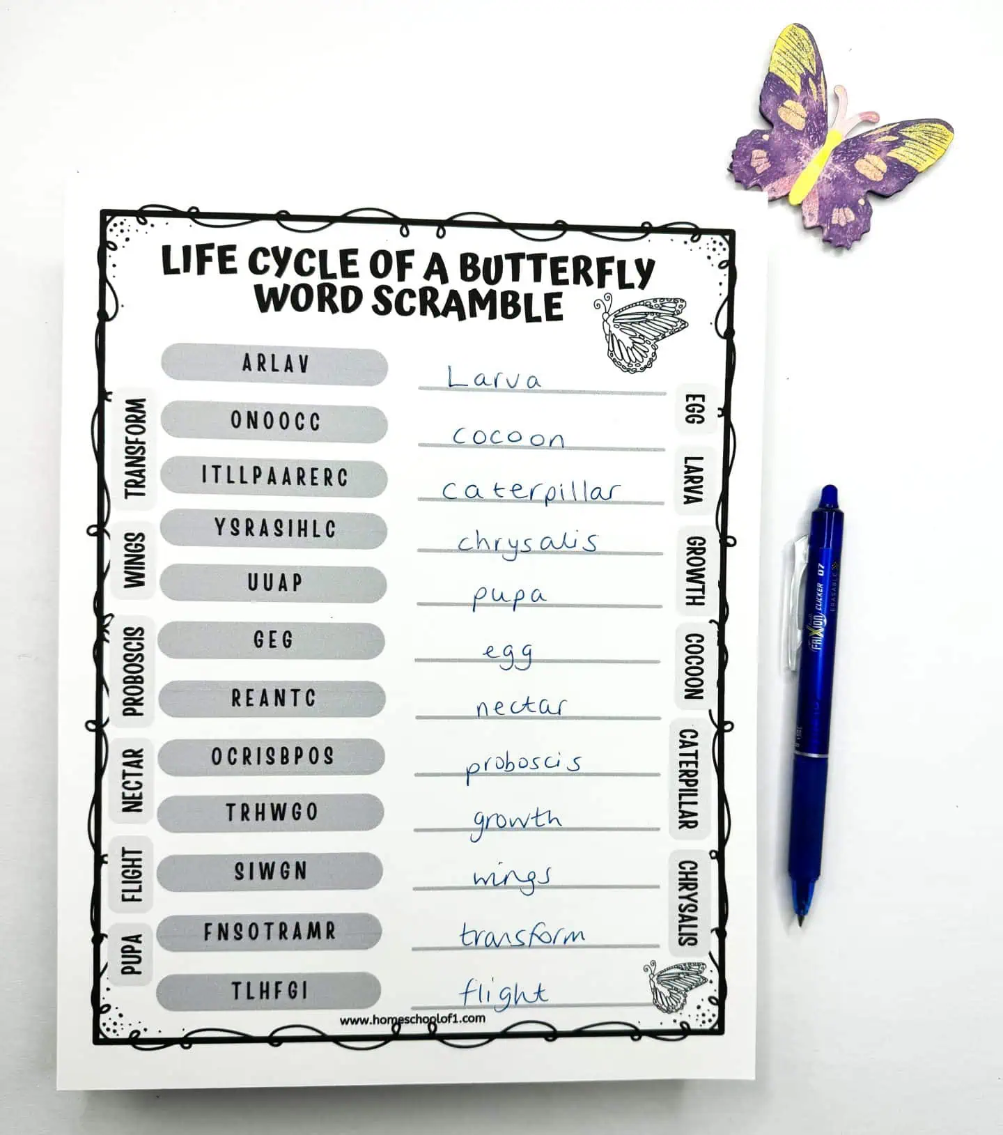 Worksheet 'Life Cycle of a Butterfly Word Scramble' featuring scrambled terms to be rearranged correctly, with solutions provided, and accented with a decorative paper butterfly.